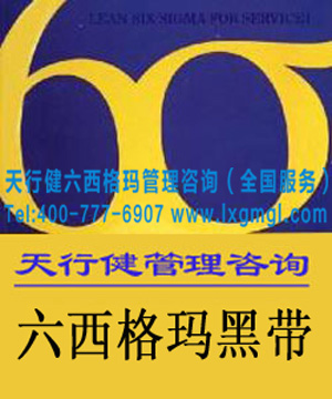 六西格瑪黑帶培訓的重要性（詳細版）