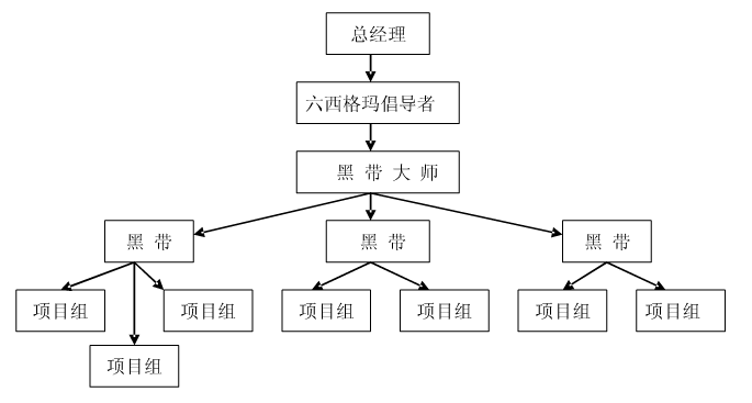 六西格瑪項目執行團隊的人員結構剖析    